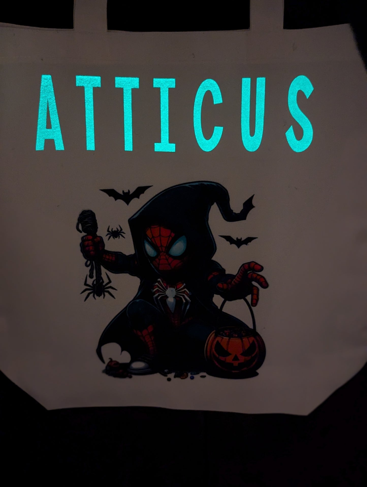 Peek-a-Boo Spiderman Trick or Treat Bag