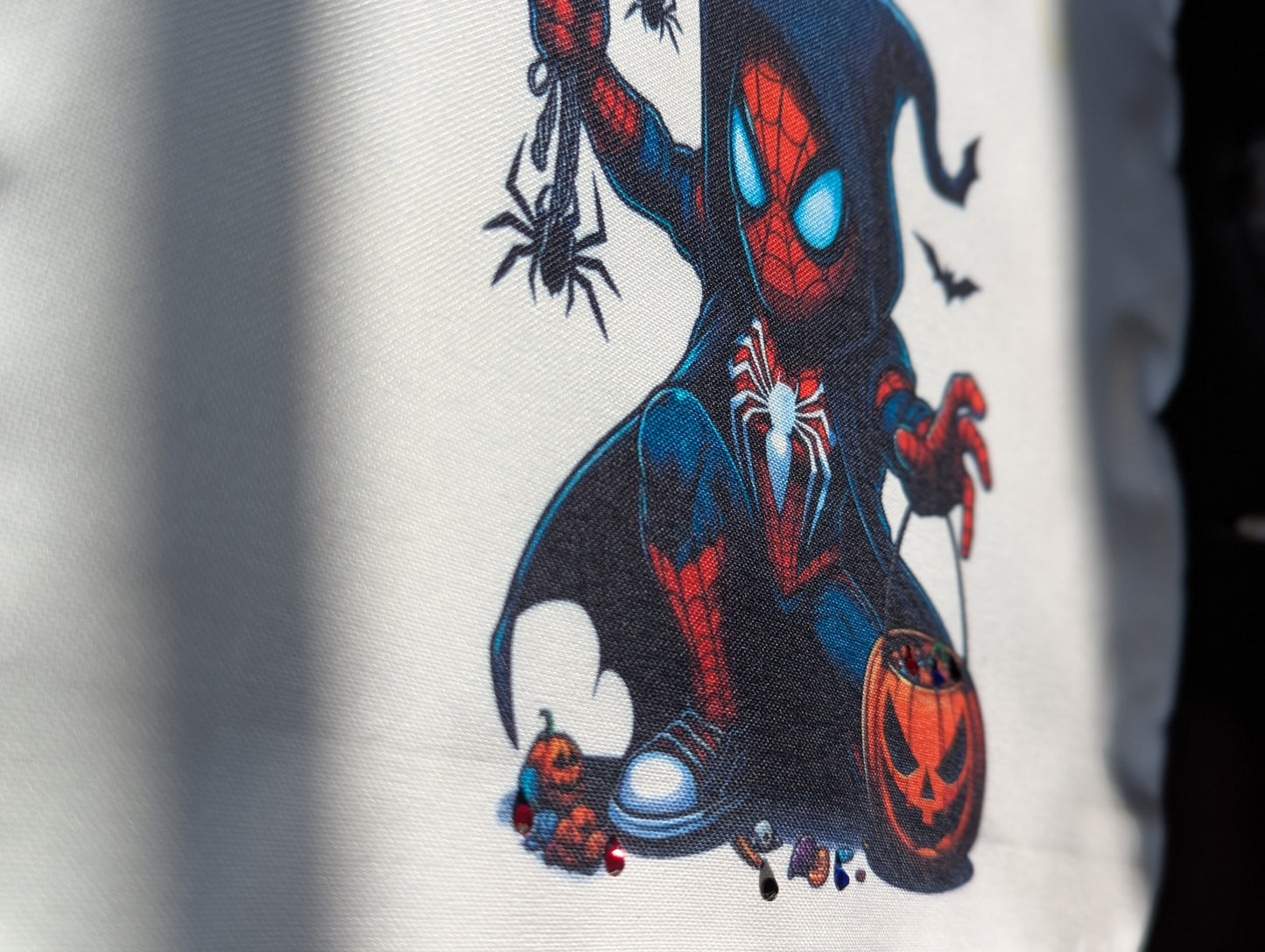 Peek-a-Boo Spiderman Trick or Treat Bag